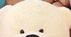 60cm to 200cm Big Sale Cheap Giant Unstuffed Empty Teddy Bear Bear Skin Toy Plush Teddy Bear Bearskin Plush Toys