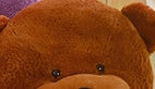 60cm to 200cm Big Sale Cheap Giant Unstuffed Empty Teddy Bear Bear Skin Toy Plush Teddy Bear Bearskin Plush Toys